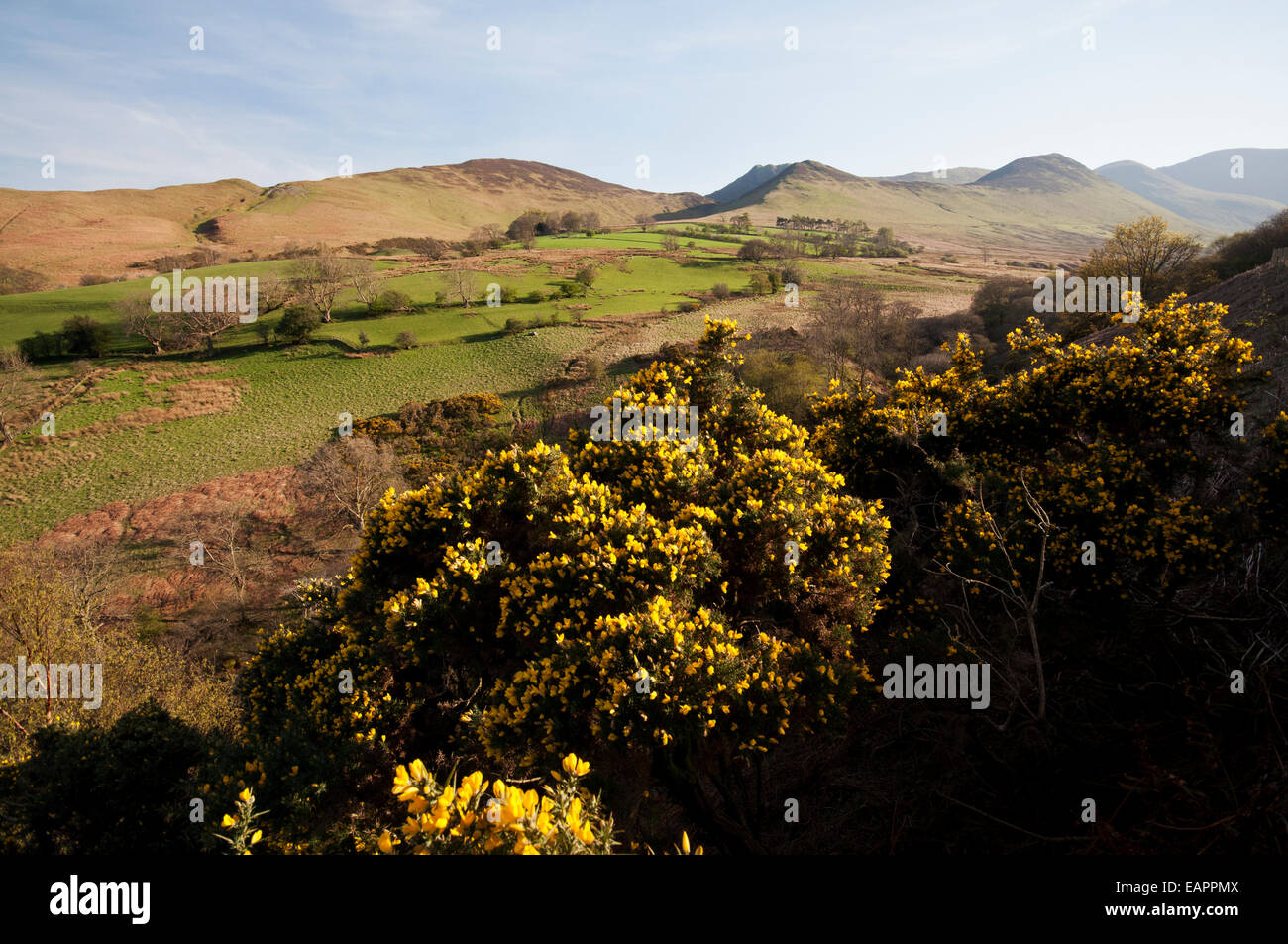 La Valle Coledale nel Parco Nazionale del Distretto dei Laghi. Foto Stock