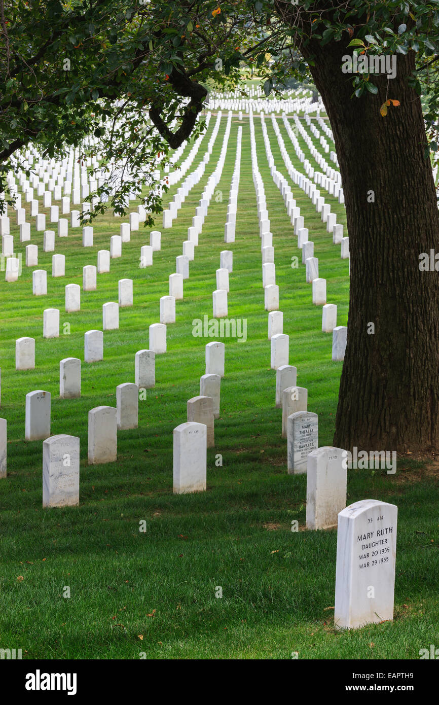 Al Cimitero Nazionale di Arlington, Virginia, Stati Uniti d'America Foto Stock