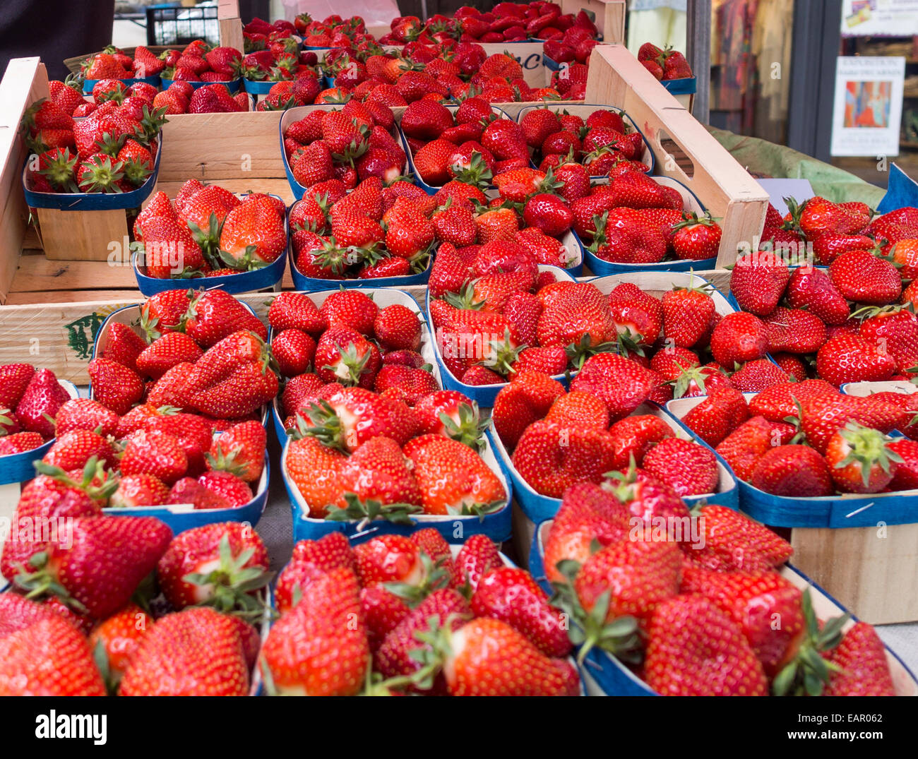 Scatole di fresca di fragole attirare acquirenti.. Un display a una verdura e frutta del fornitore di stallo del mercato. Foto Stock