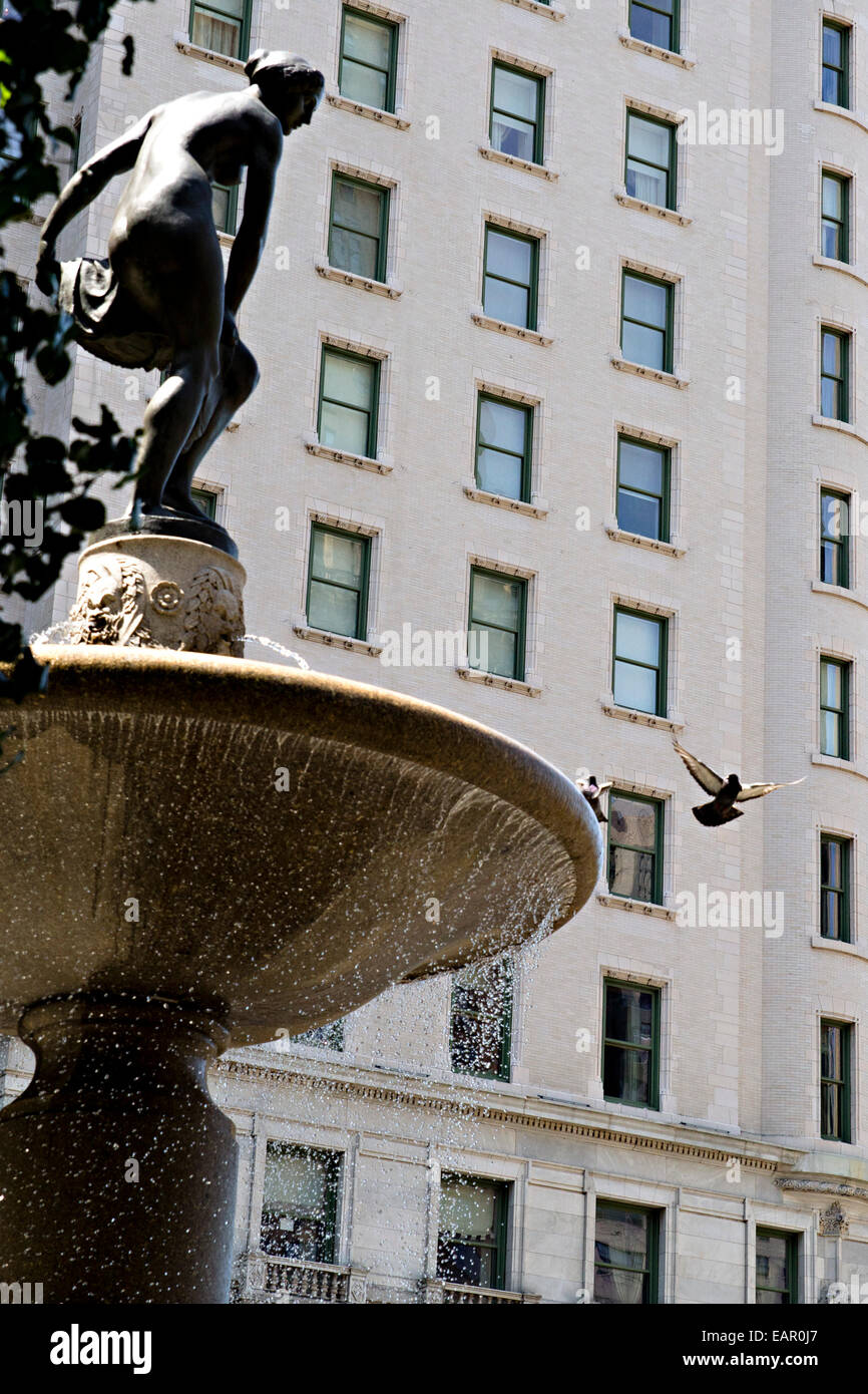 Un piccione vola lontano da una fontana nella città di New York, NY. Foto Stock