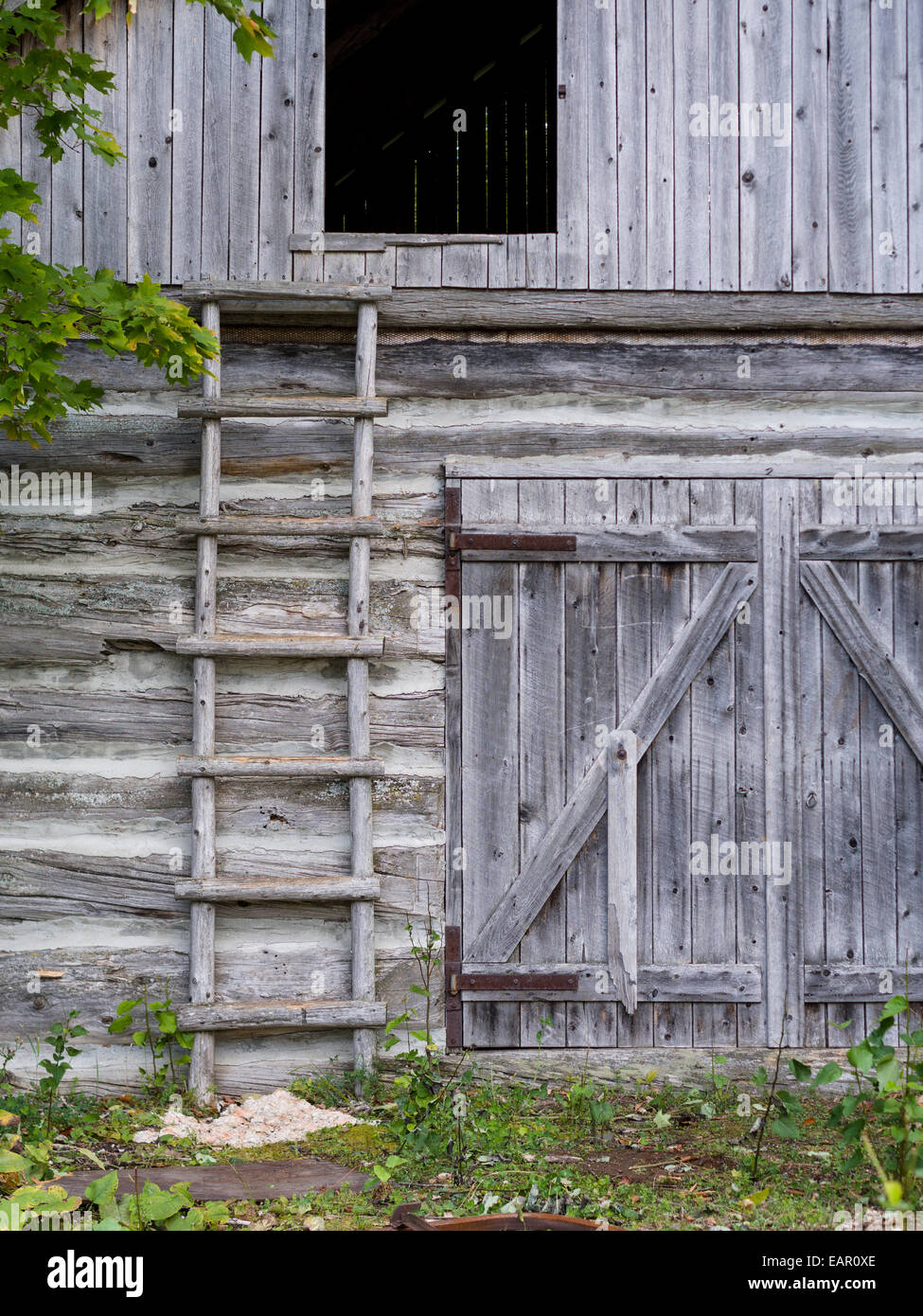 Registro spiovente fienile con scaletta loft. Un vecchio weathered fienile di registro ha una scala attaccata per accedere ad un soppalco porta. Foto Stock