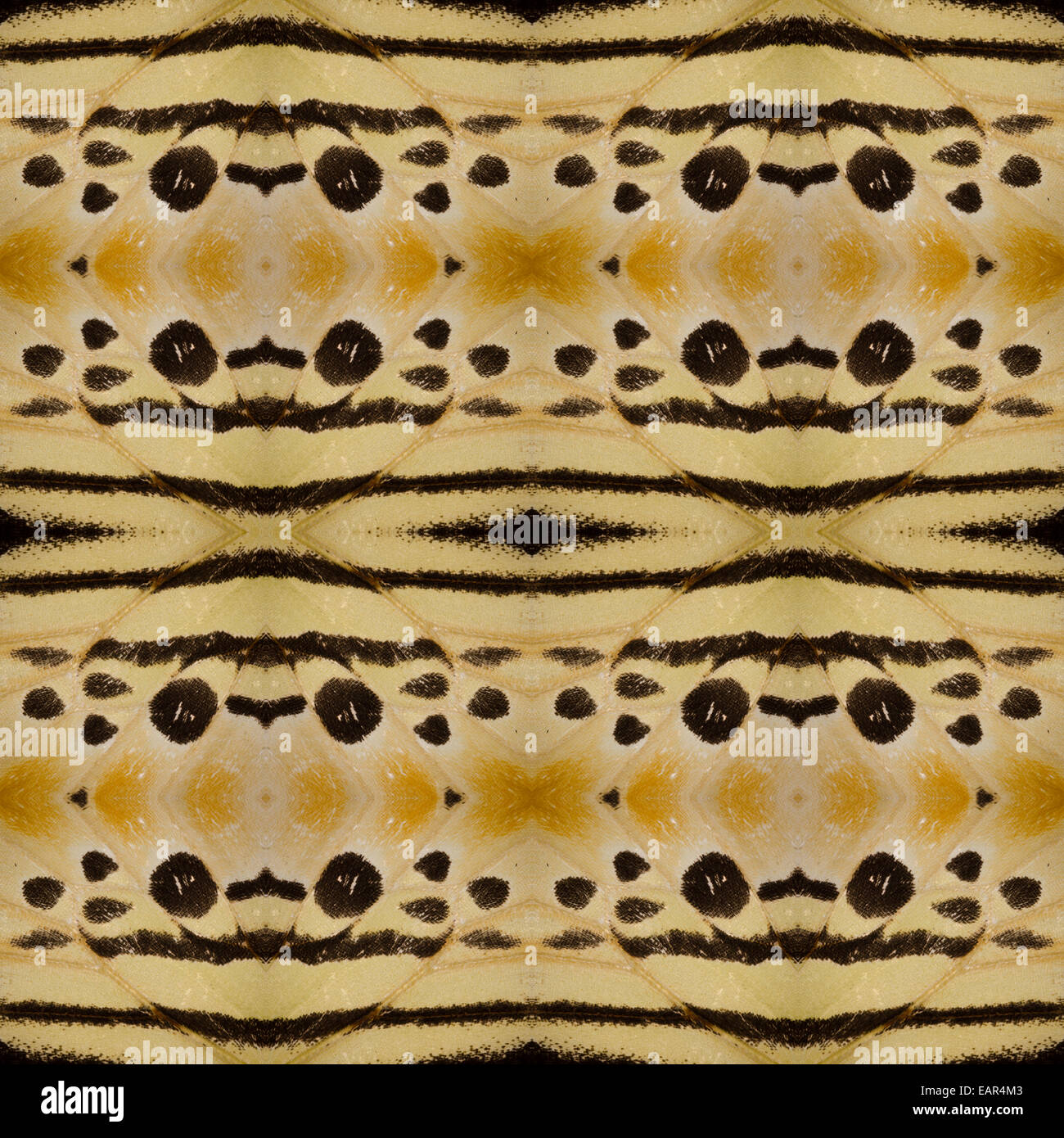 Giallo ala di farfalla pattern design decorativo Foto Stock Giallo ala di farfalla pattern design decorativo Foto Stock