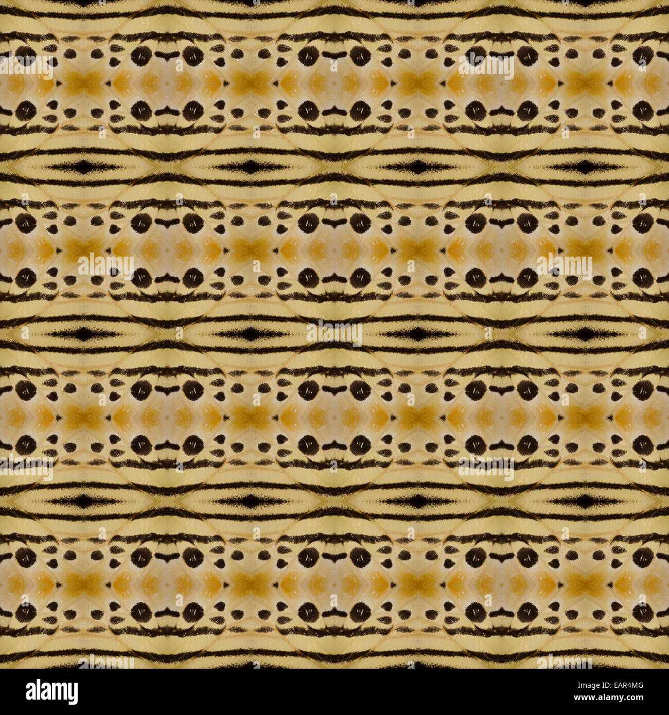 Giallo ala di farfalla pattern design decorativo Foto Stock Giallo ala di farfalla pattern design decorativo Foto Stock