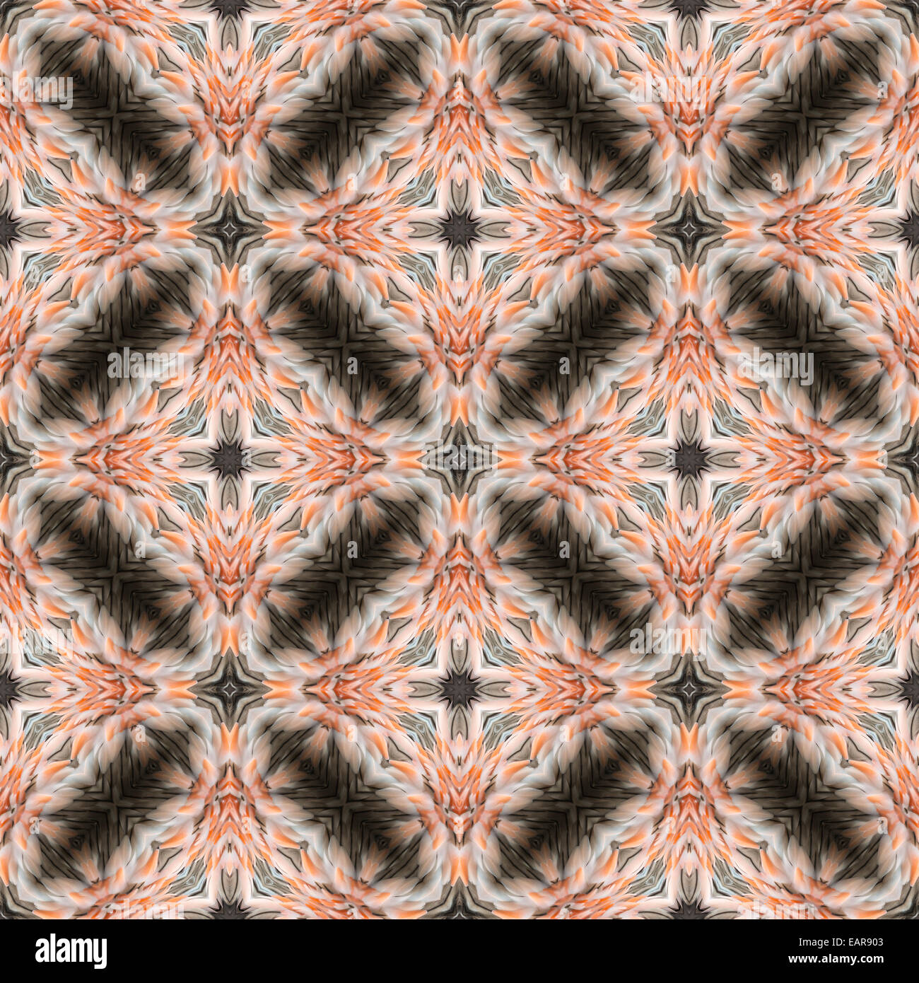 Abstract design decorativo modello di rosa e nero texture di piume Foto Stock