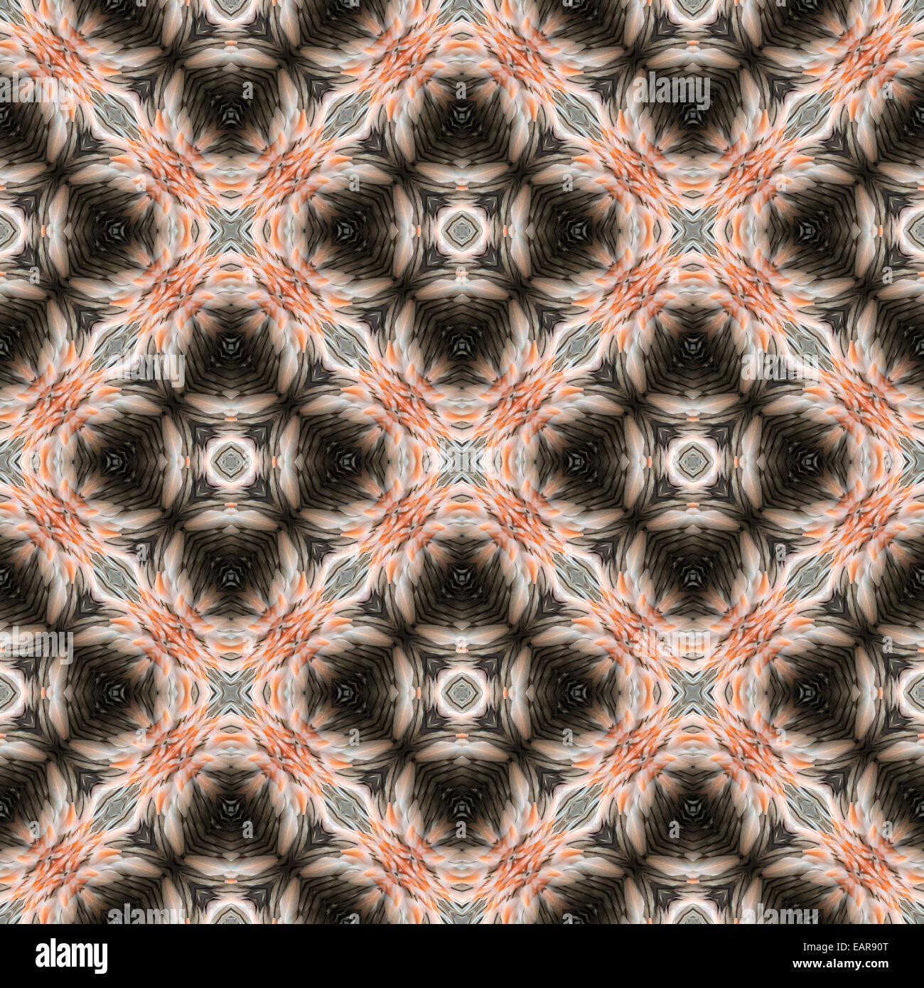 Abstract design decorativo modello di rosa e nero texture di piume Foto Stock
