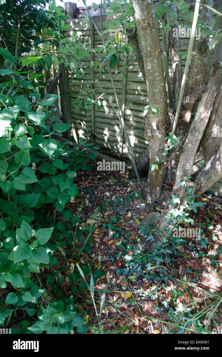 Segreto nascosto area di gioco in un giardino sul retro Foto Stock