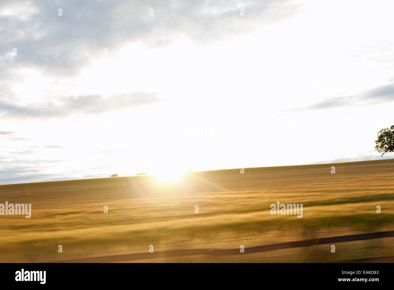 Set di sole su un campo di colture, come si vede dal finestrino di un veicolo in movimento Foto Stock