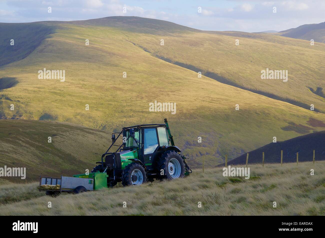 Trasporto del trattore pali da recinzione coinvolti nelle aree montane scherma il lavoro. Mitton Hill, Carrock cadde, Cumbria, Inghilterra, Regno Unito. Foto Stock