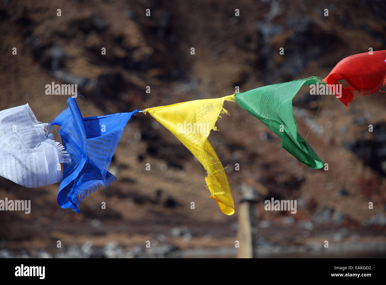La preghiera buddista flag nello stato indiano del Sikkim Foto Stock