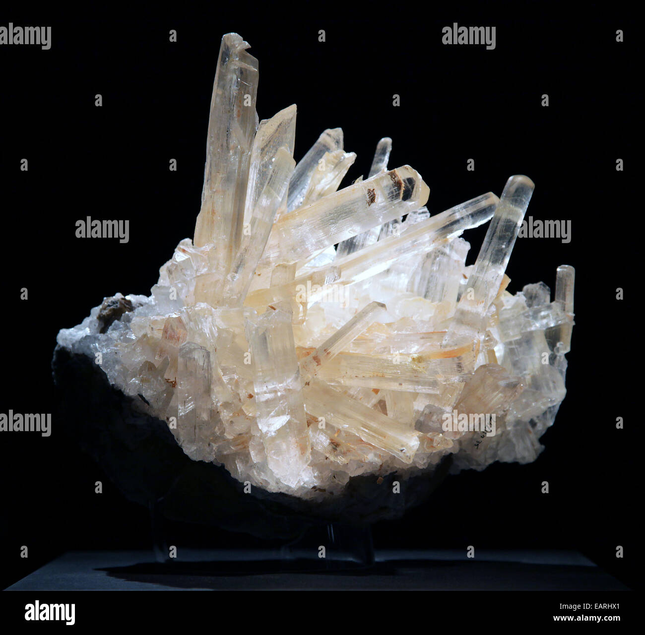 Cluster di selenite del minerale gesso.minerale Foto Stock