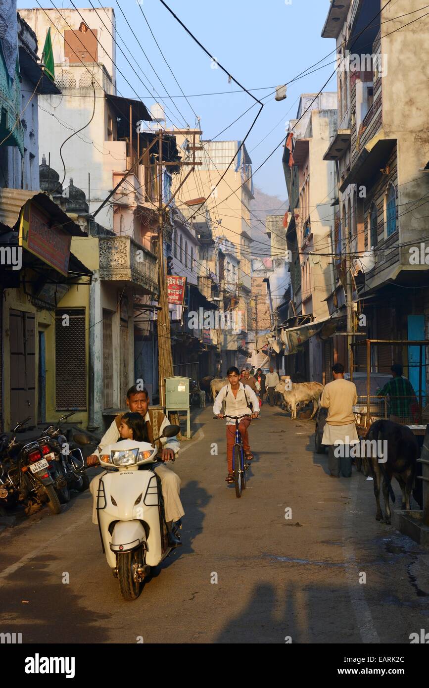India Rajasthan, regione di Mewar, Bundi atmosfera da villaggio di una strada con le sue vacche sacre Foto Stock