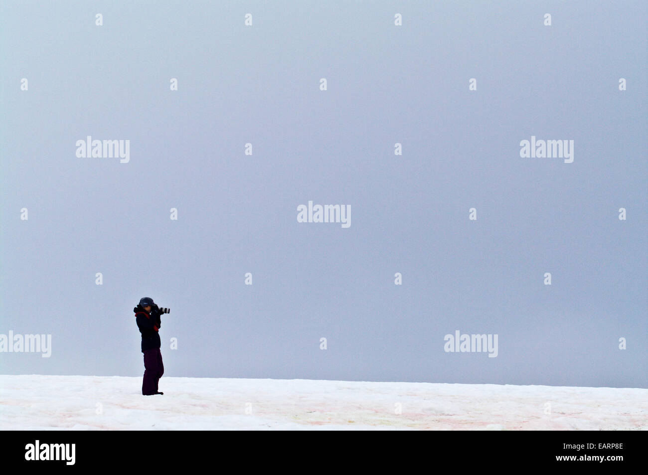 Un turista solitario fotografare su una collina spazzate dal vento in Antartide. Foto Stock