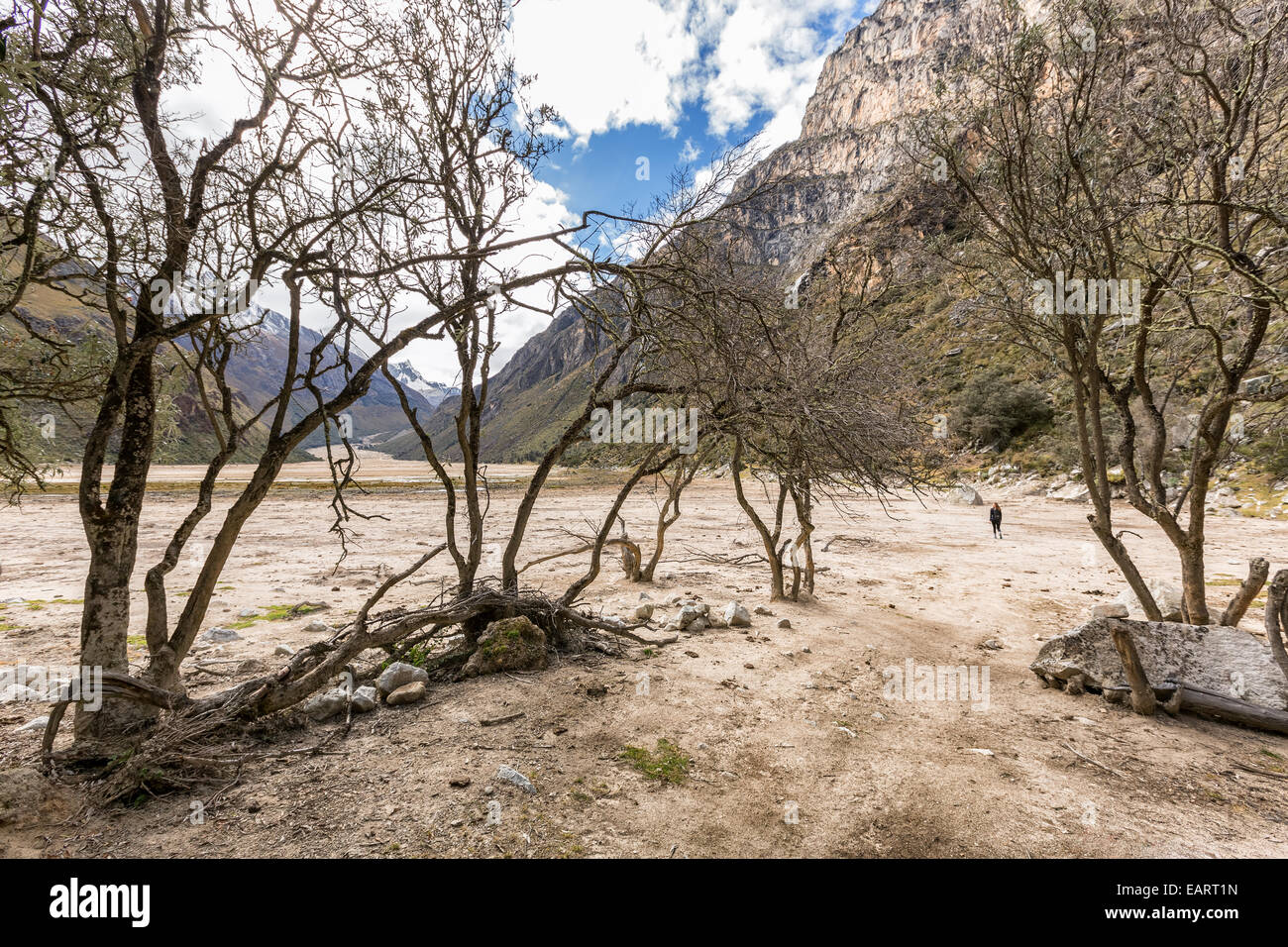 Su Santa Cruz trek, Santa Cruz valley, Cordillera Blanca, Ande, Perù, Sud America Foto Stock