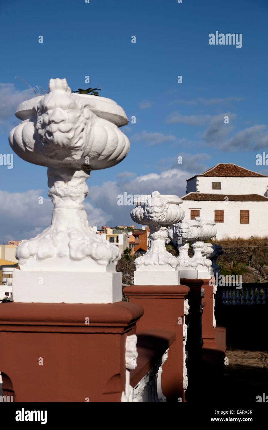 Getto di calcestruzzo dei POT del fiore sulla parete intorno alla Plaza in Icod de Los Vinos, Tenerife, vedere la differenza di messa a fuoco con EARX52 Foto Stock