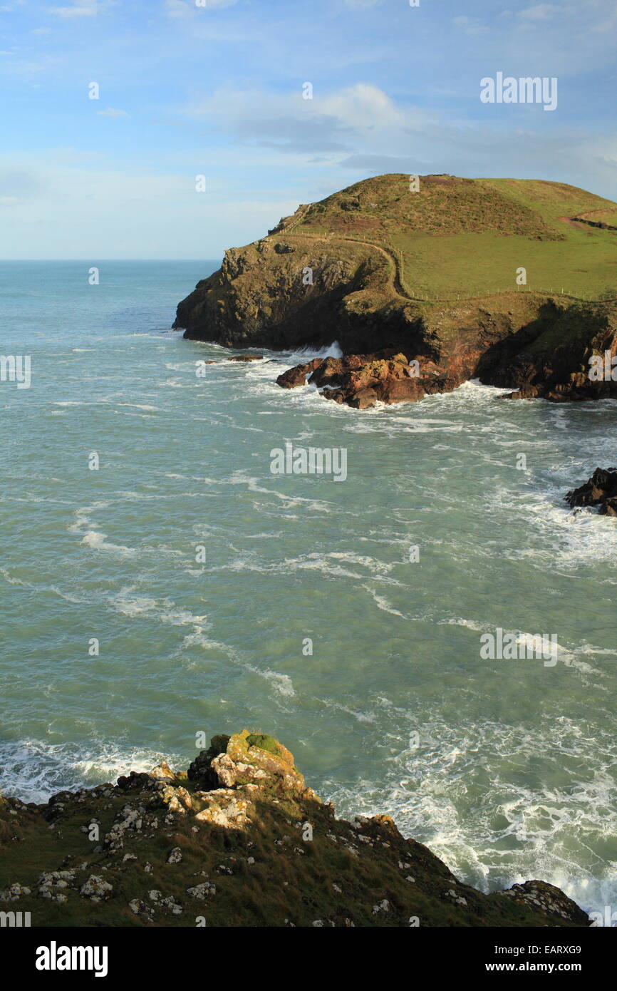 Testa Kellan, Porta Quin, North Cornwall, England, Regno Unito Foto Stock