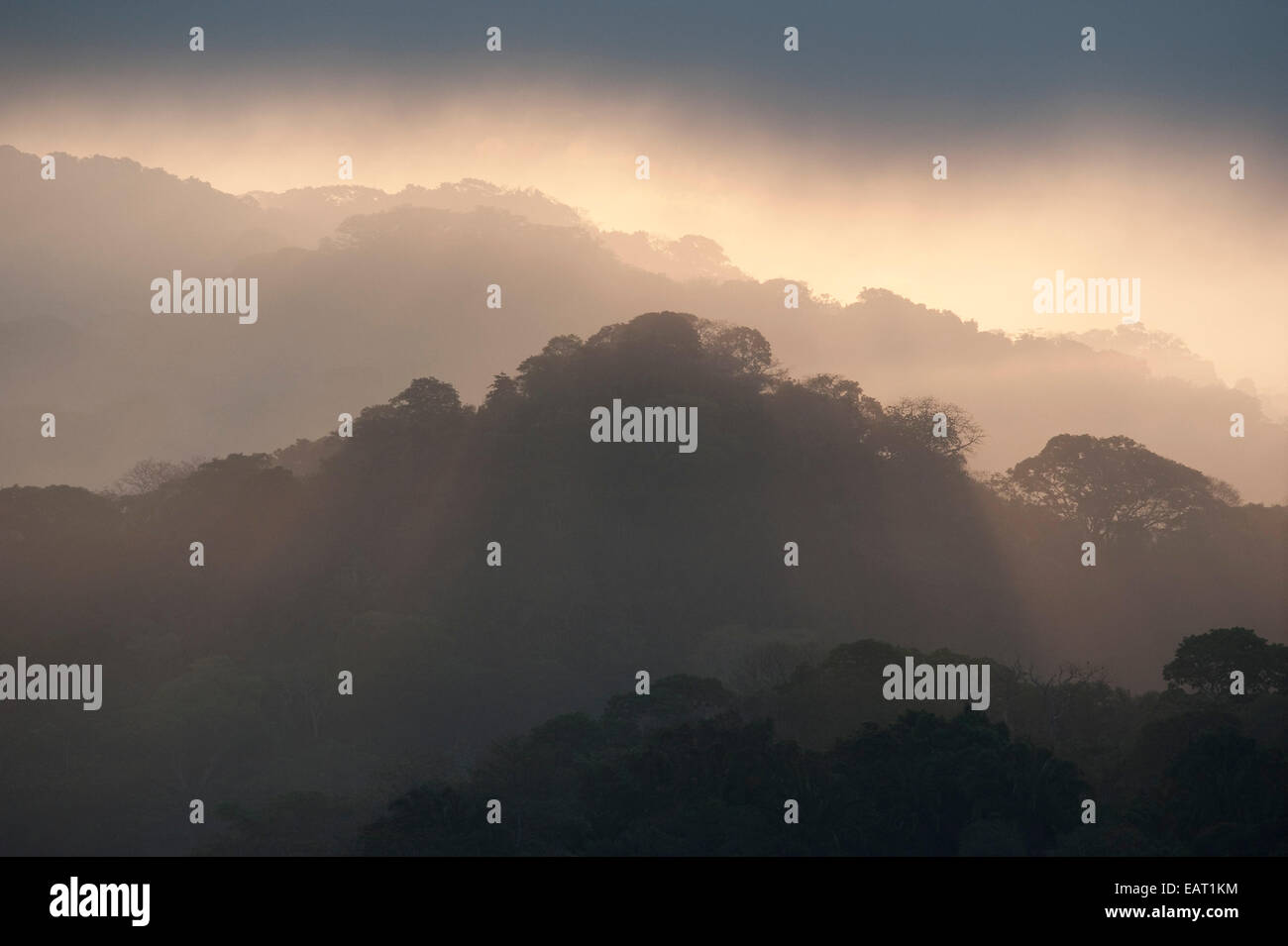 Sunrise vista sulla giungla baldacchino Panama Foto Stock