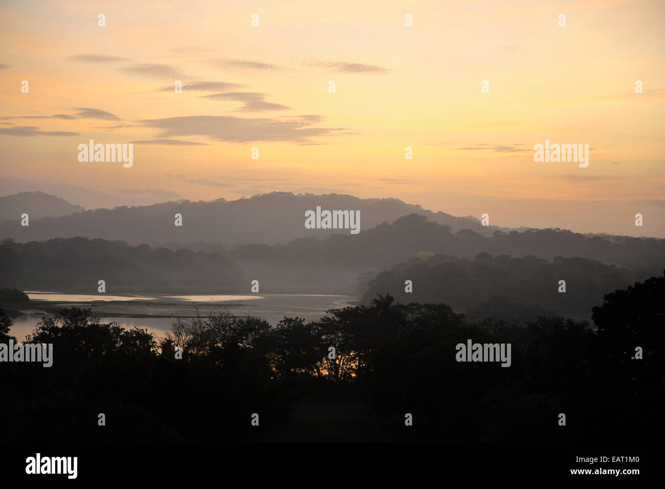Sunrise vista su Jungle Canopy & Gatun Lago di Panama Foto Stock