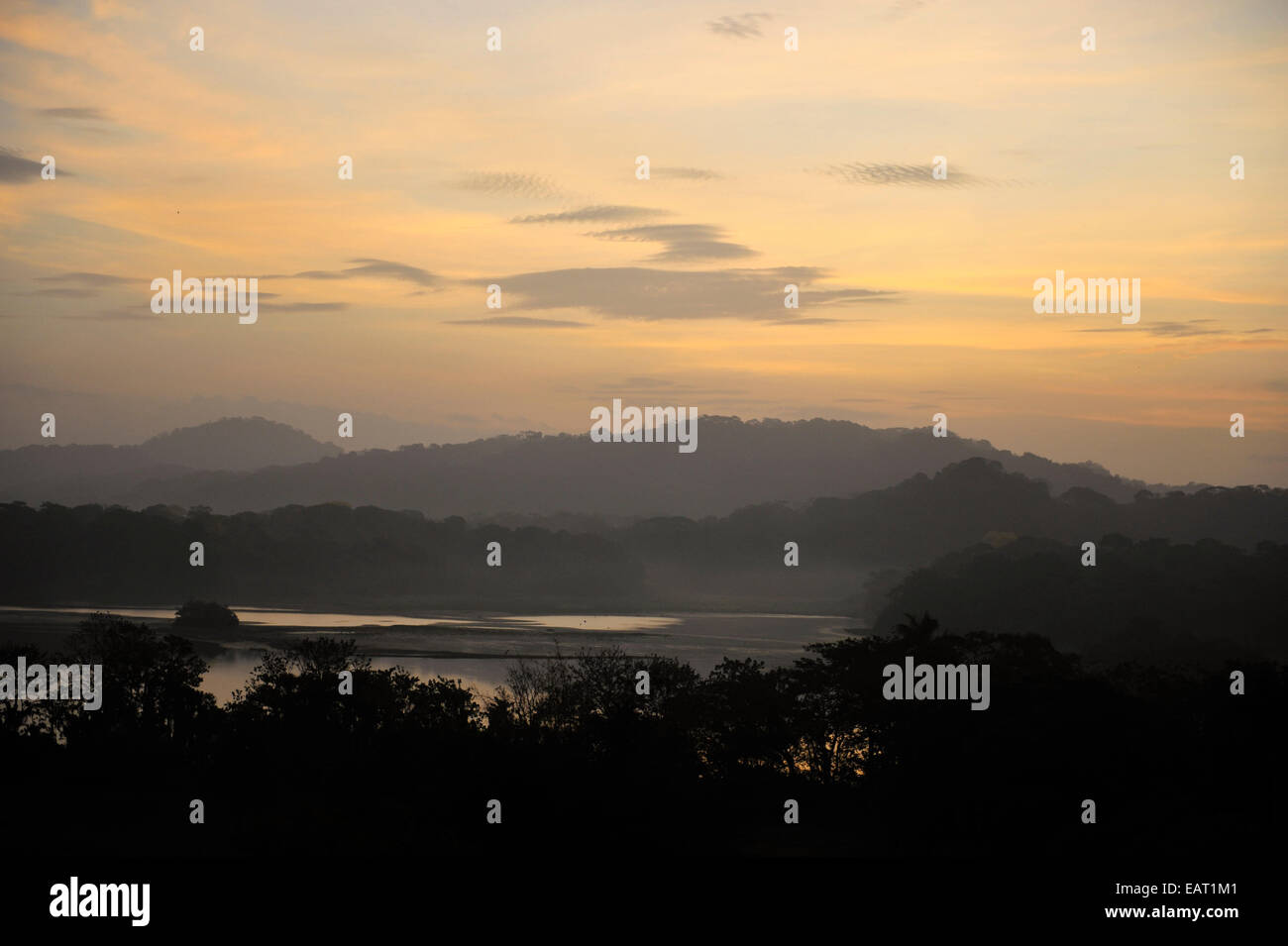 Sunrise vista su Jungle Canopy & Gatun Lago di Panama Foto Stock
