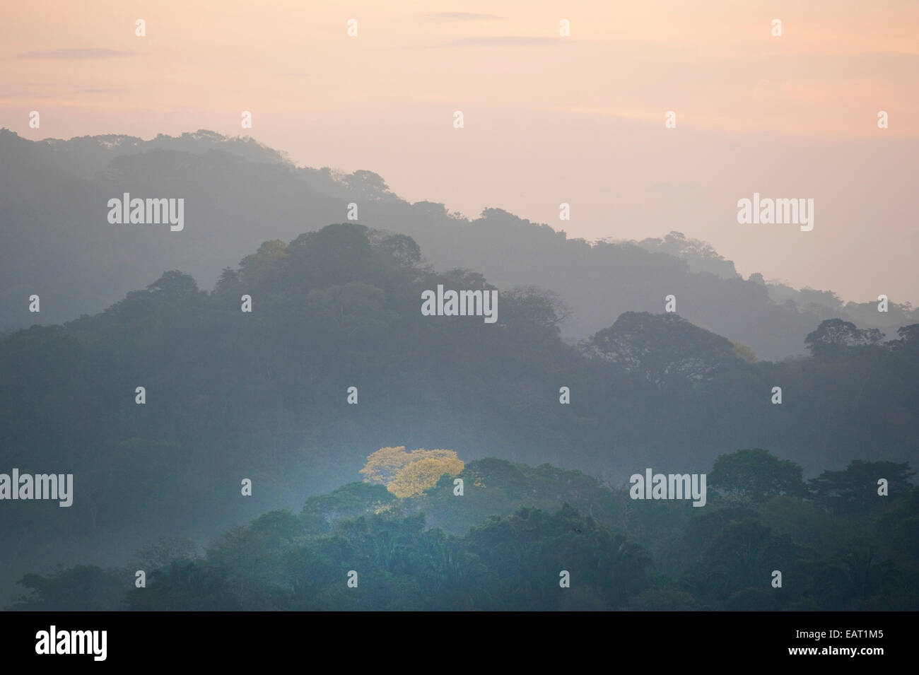 Sunrise vista sulla giungla baldacchino Panama Foto Stock