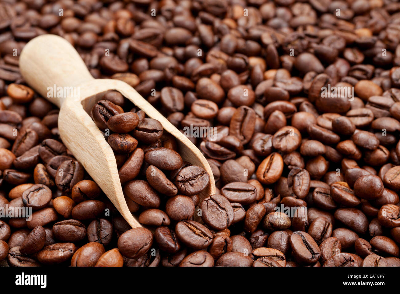 I chicchi di caffè e scoop di legno Foto Stock