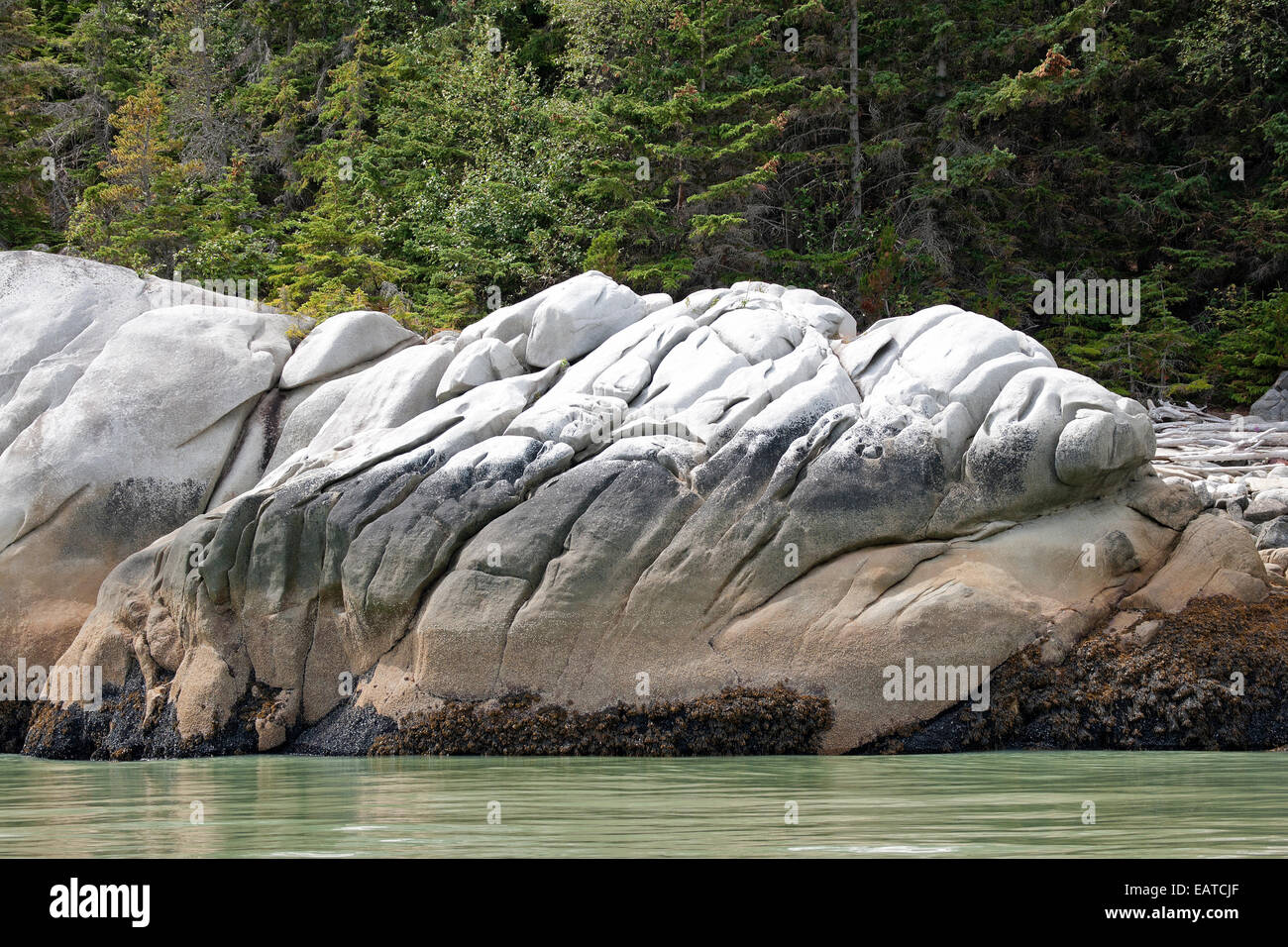 Rocce a forma di mostro rettile presso il Glacier Bay nei pressi di Skagway - Alaska. Foto Stock
