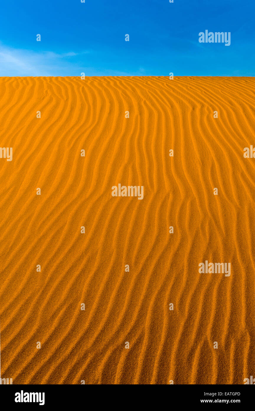 Increspature geometrica nel volto di un rosso duna di sabbia in un deserto costiero. Foto Stock