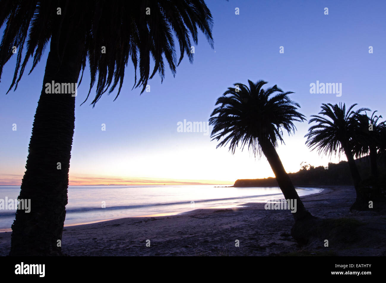 Palme silhouette a Refugio membro spiaggia di Gaviota, California. Foto Stock