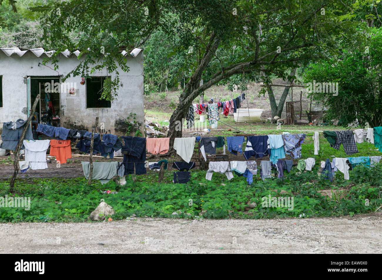 Un sacco di biancheria infilati su diverse linee a secco nel cortile anteriore della piccola casa, Stato di Campeche, Messico. Foto Stock
