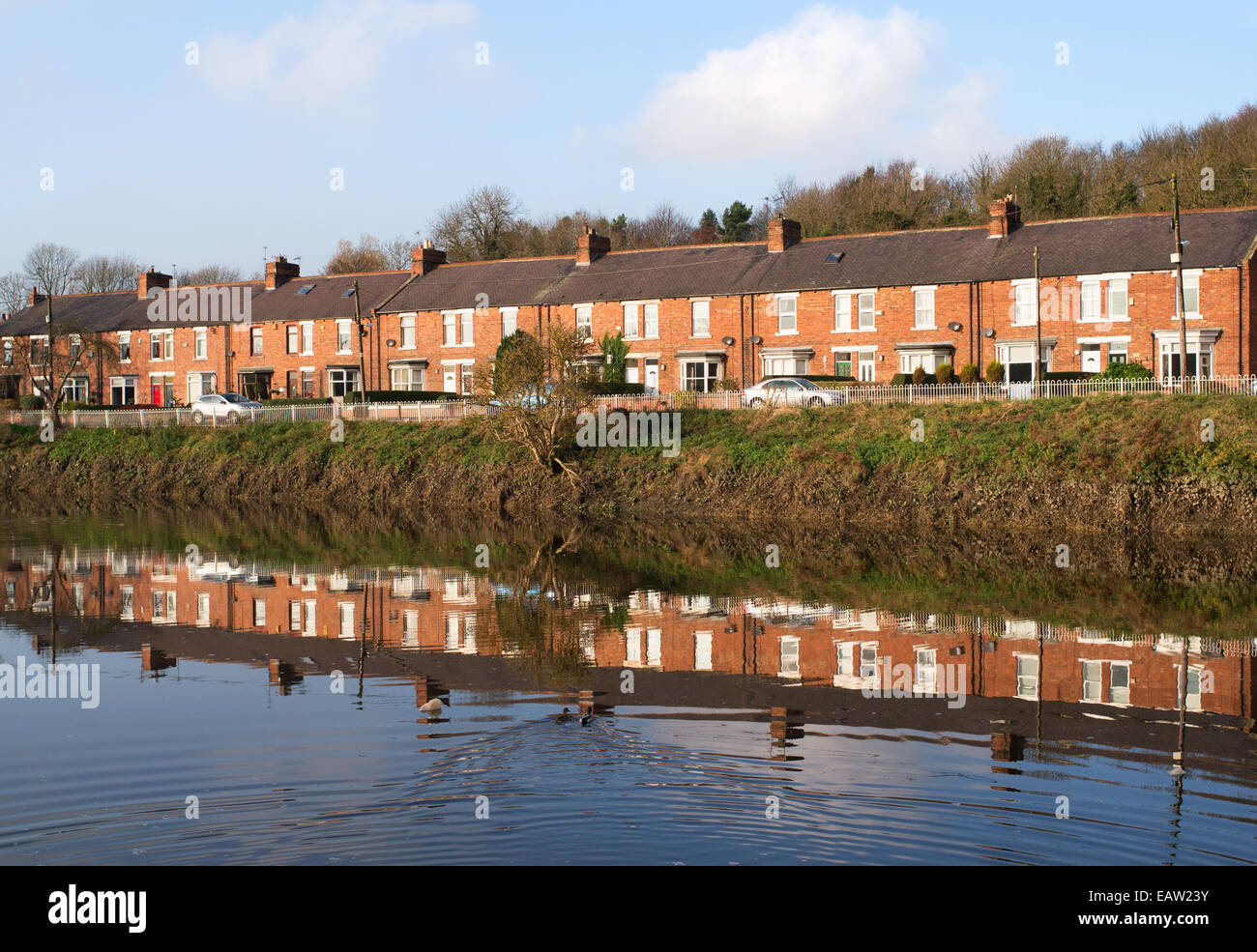Vista sud, una fila di case a schiera si riflette nel fiume usura, Fatfield, North East England, Regno Unito Foto Stock