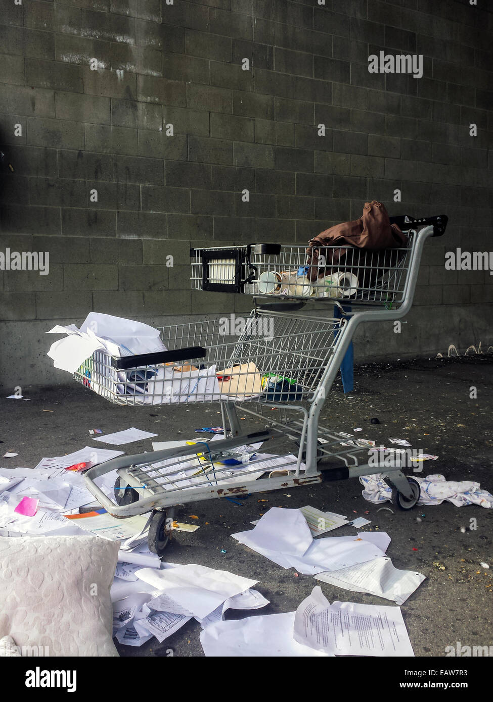 Carrello spesa e i rifiuti nel cestino della spazzatura punta di dumping illegalmente una questione sociale causando inquinamento ambientale, odore, fetente Foto Stock