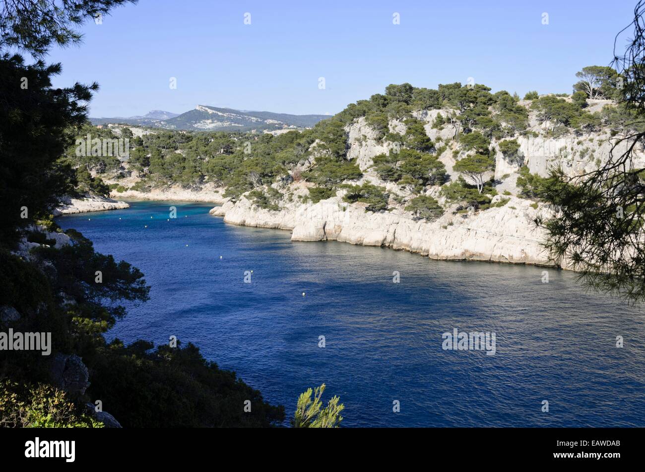 Calanque de port-pin, calanques national park, Francia Foto Stock