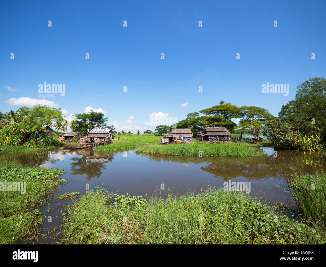 Agriturismi tra un canale e i campi di riso al delta di Irrawaddy in Myanmar meridionale Foto Stock