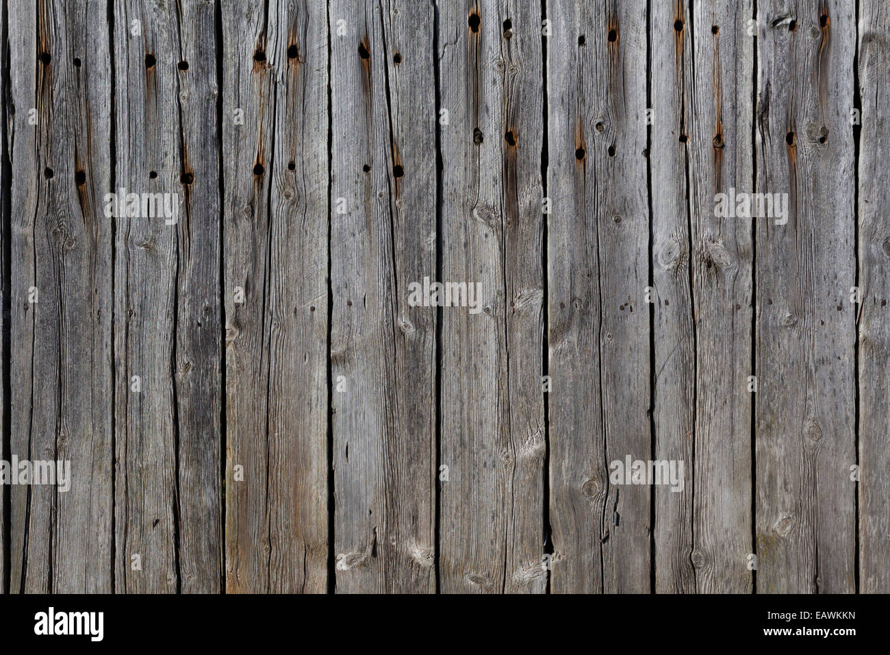 Weathered listoni in legno su un vecchio granaio di Irthington, Cumbria Regno Unito Foto Stock
