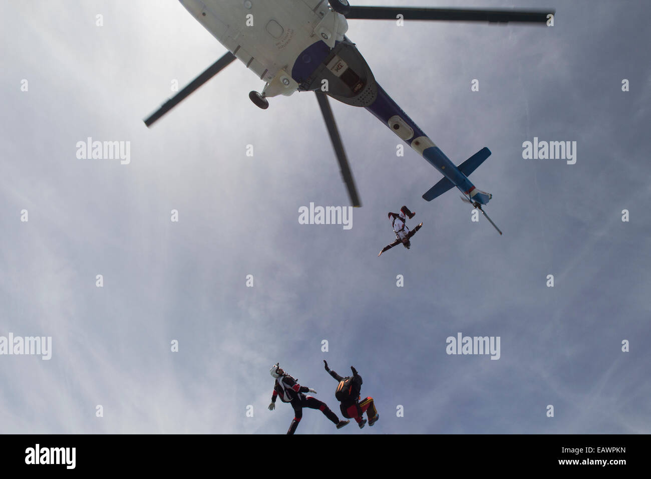 Skydiving Freefly team è saltato fuori da un aereo e rendere la formazione skydive il salto. Foto Stock