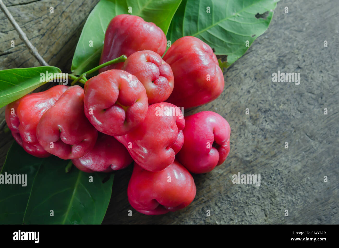 Ancora la vita di rosa di Apple o chompu su legno Foto Stock