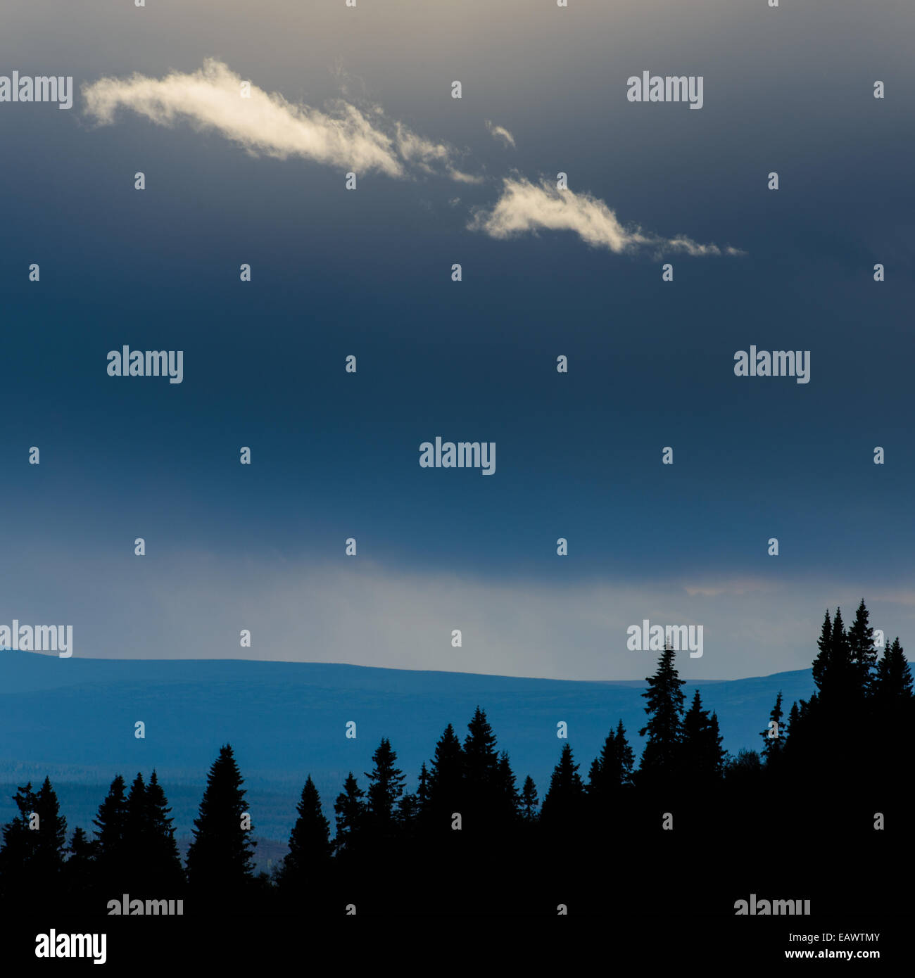 Stagliano alberi e una cima di sunrise Foto Stock