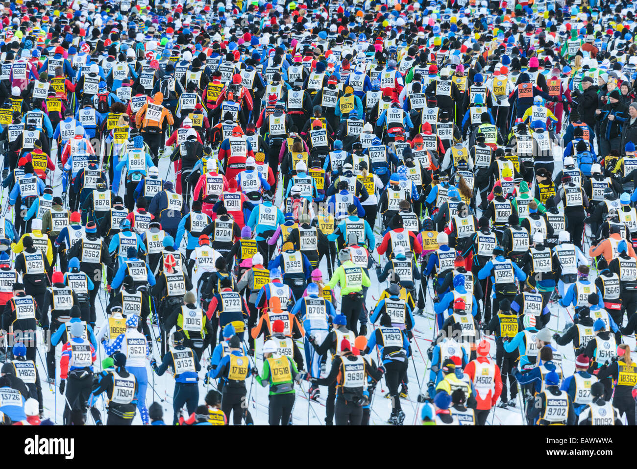La folla dei fondisti in gara Vasaloppet Foto Stock