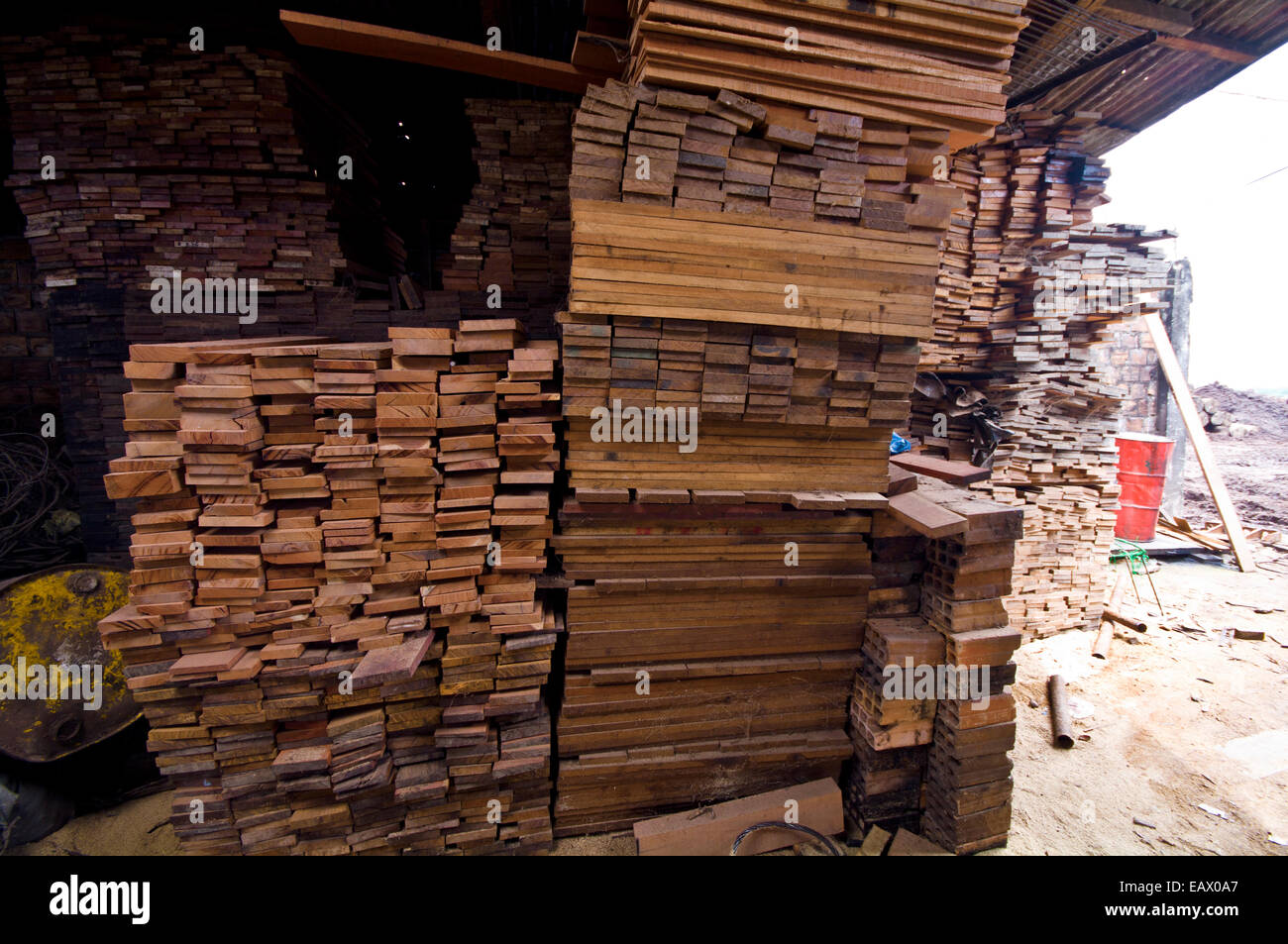 Doghe in legno tagliati da alberi della foresta pluviale impilati per la vendita in una registrazione di mulino. Foto Stock