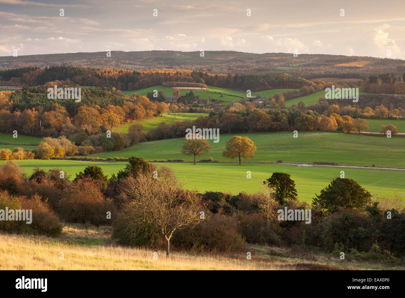Vista su Albury e il Surrey Hills Dal Newlands Corner sulla North Downs. Surrey, Inghilterra, Regno Unito Foto Stock
