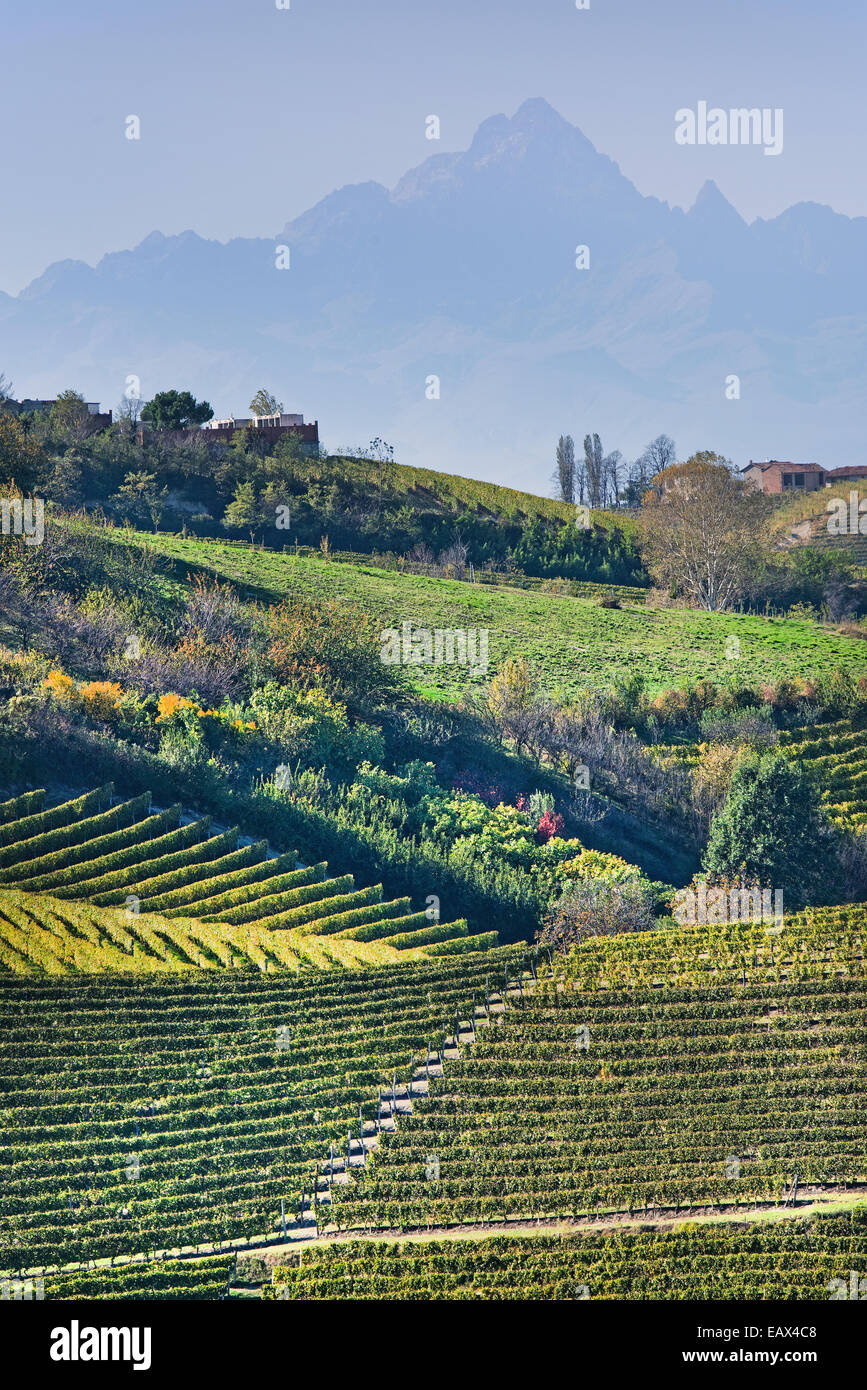 L'Italia,panorama di vigneti del Piemonte: Langhe-Roero e Monferrato nella Lista del Patrimonio Mondiale UNESCO Foto Stock