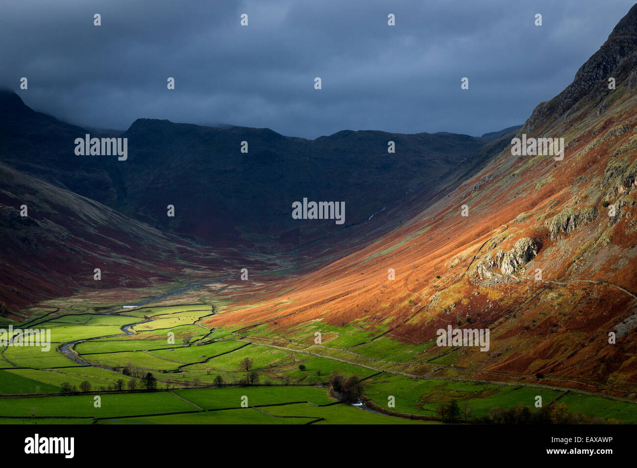 In autunno i flussi di luce attraverso il fells per illuminare i campi lungo la Langdale Valley. Parco Nazionale del Distretto dei Laghi, Inghilterra Foto Stock