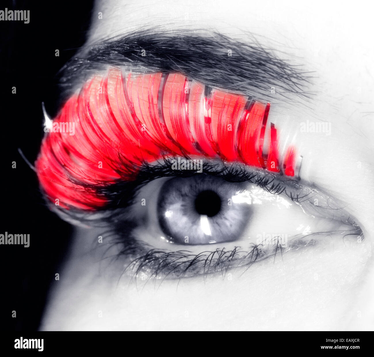 Extreme Closeup di un occhio con lunghe ciglia rosso Foto Stock