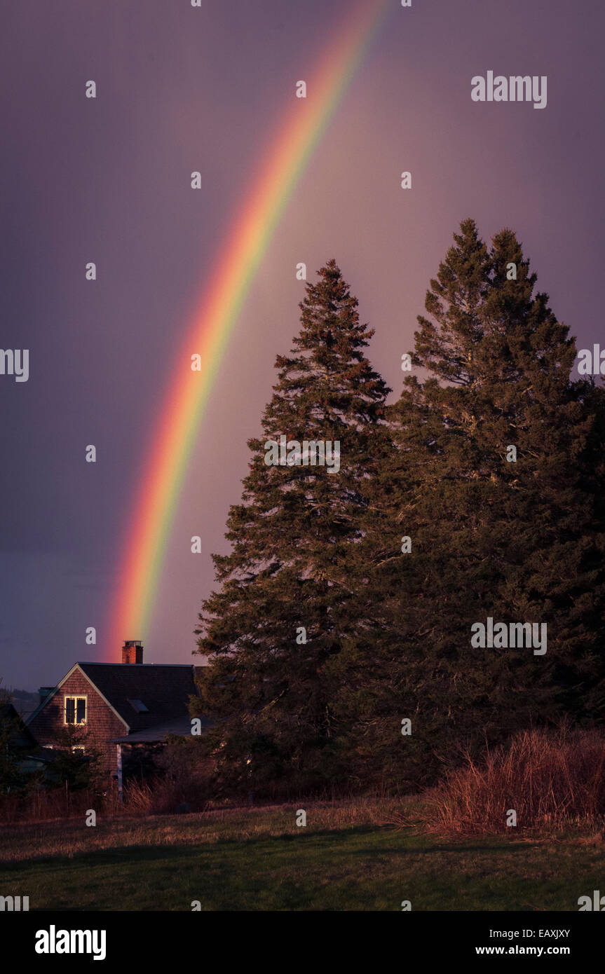 Vista di un arcobaleno dopo una tempesta di pioggia su alberi di pino e casa rustico nel Maine. Foto Stock