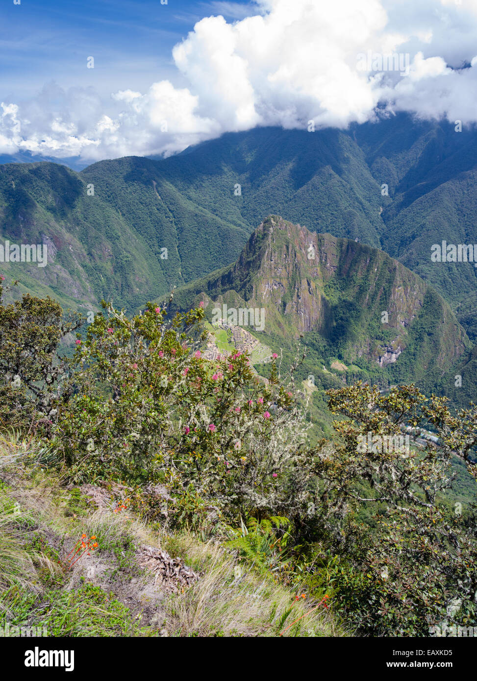 Le rovine Inca di Machu Picchu e il piccolo Monte Huayna Picchu, fotografato mentre alpinismo Montaña Machu Picchu, vicino Ag Foto Stock