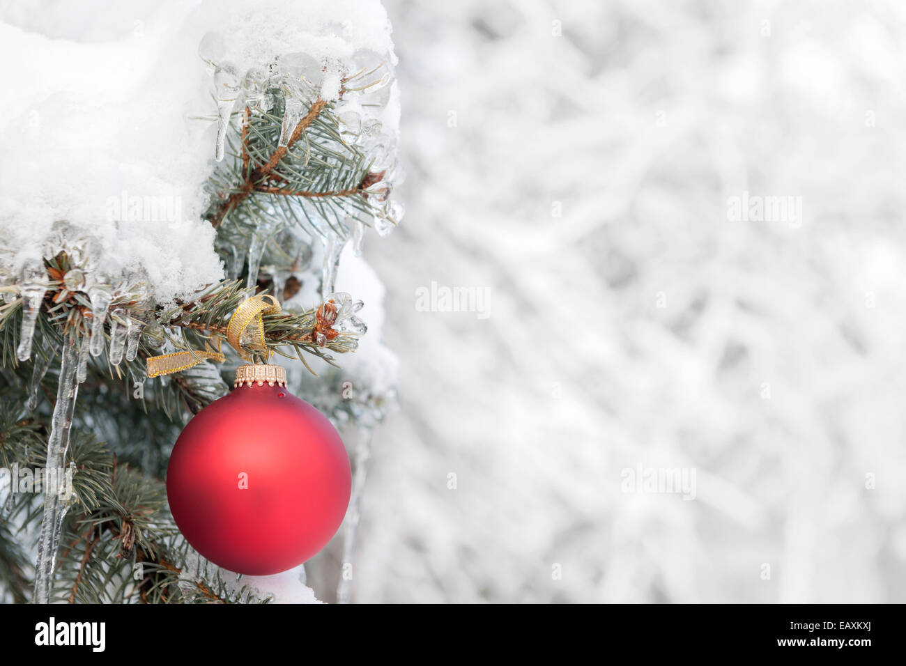 Red ornamento di Natale appeso sulla coperta di neve abete rosso albero esterno con spazio di copia Foto Stock