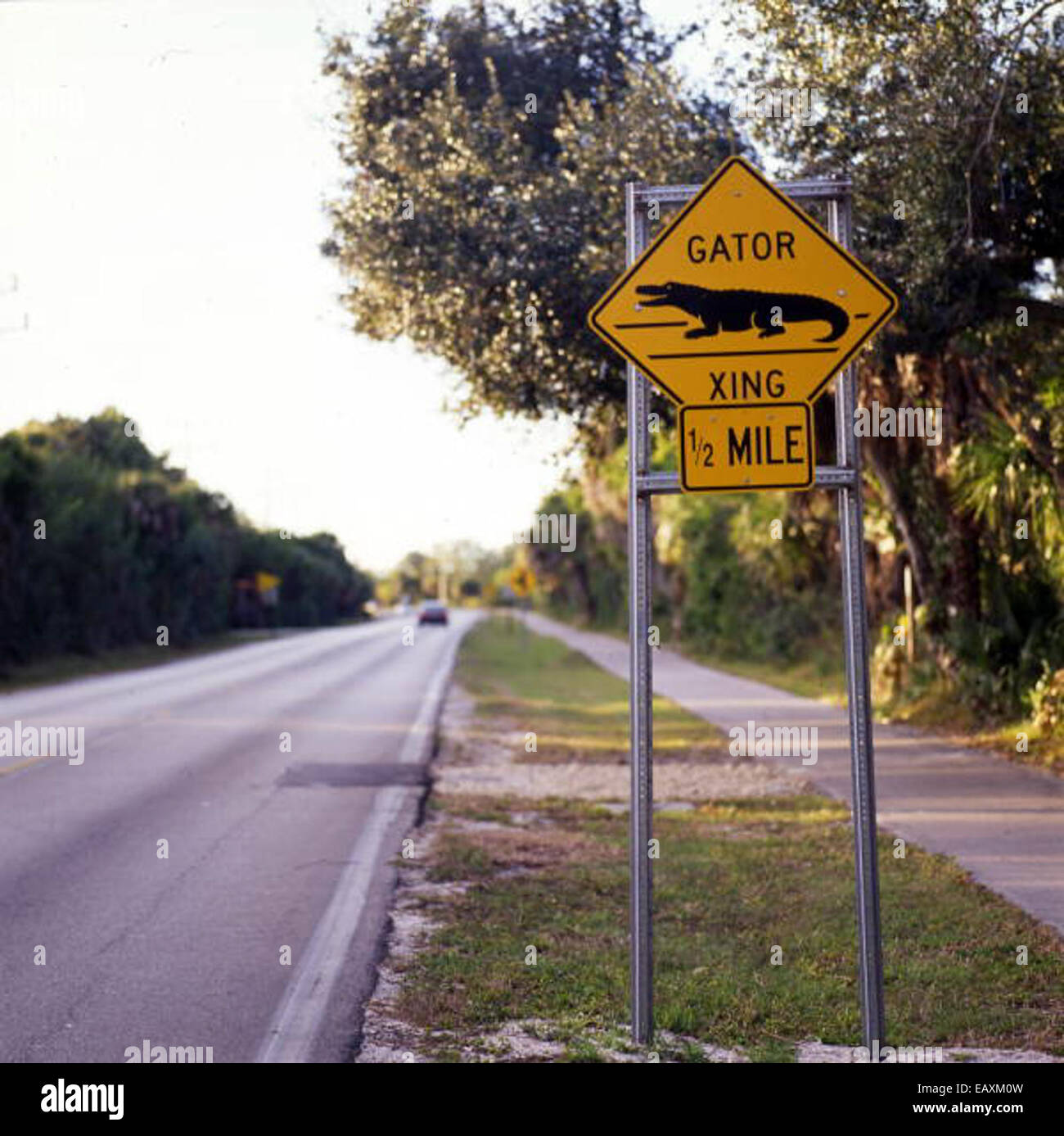 Gator Xing road sign in Lee County 00640617 o Foto Stock