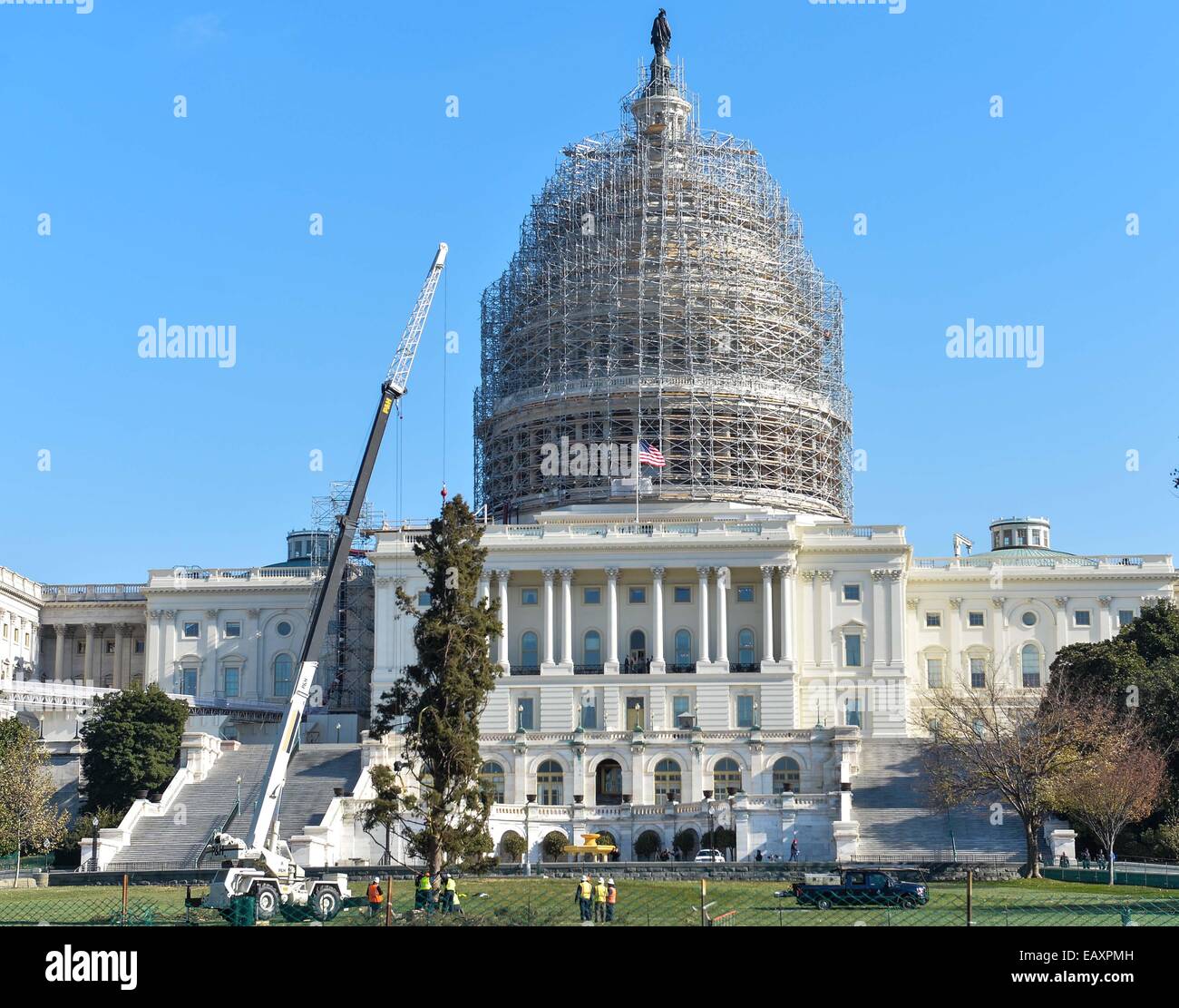 (141121) -- WASHINGTON D.C., nov. 21, 2014 (Xinhua)-- Il 2014 Capitol albero di Natale è visto piantato nel prato ovest degli Stati Uniti Capitol a Washington D.C. il nov. 21, 2014. Il 2014 Capitol albero di Natale è un abete bianco da Chippewa National Forest in Cass Lake, Minnesota. (Xinhua/Bao Dandan) Foto Stock