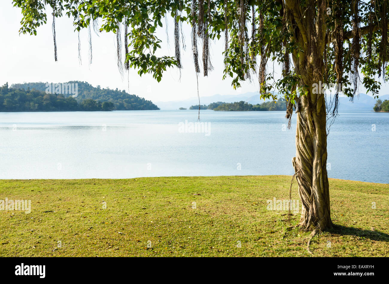 Prati paesaggistici per rilassanti waterfront sotto l'albero a Kaeng Kra Chan Parco Nazionale nella provincia Phetchaburi, Thailandia Foto Stock