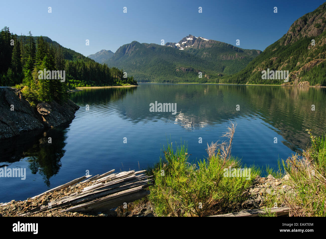 Strathcona Provincial Park - Lago Buttle, Isola di Vancouver, BC, Canada Foto Stock
