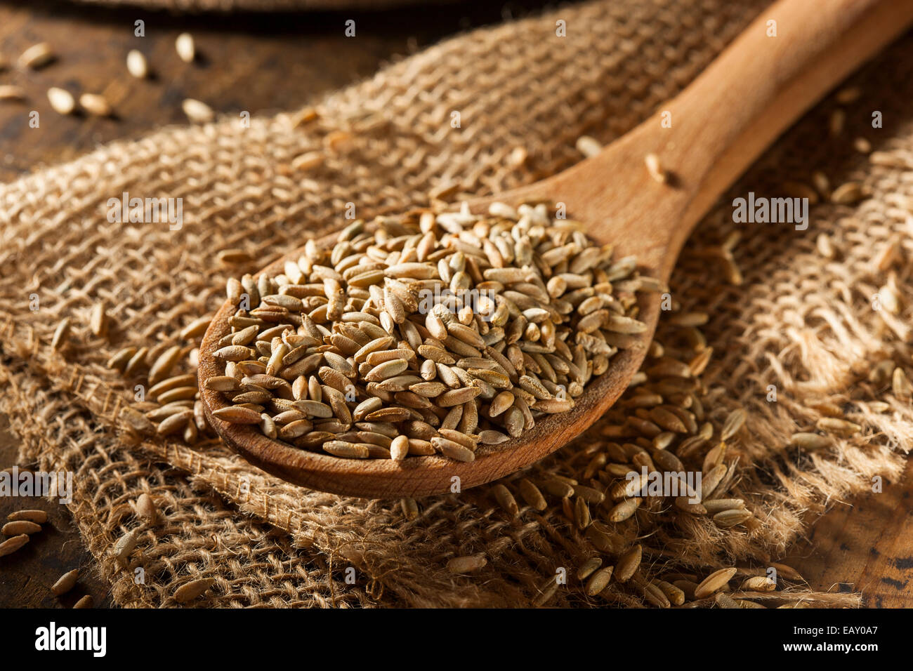 Organici grezzi secco segale grano in un cucchiaio Foto Stock